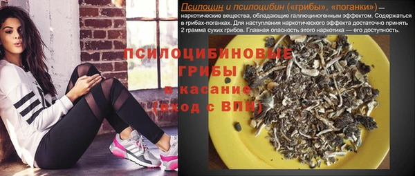 Альфа ПВП Баксан