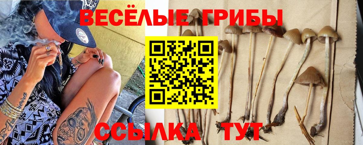 Псилоцибиновые грибы мицелий  Вход с VPN  Губаха 