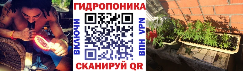 Каннабис SATIVA & INDICA  купить наркотики цена  Губаха 